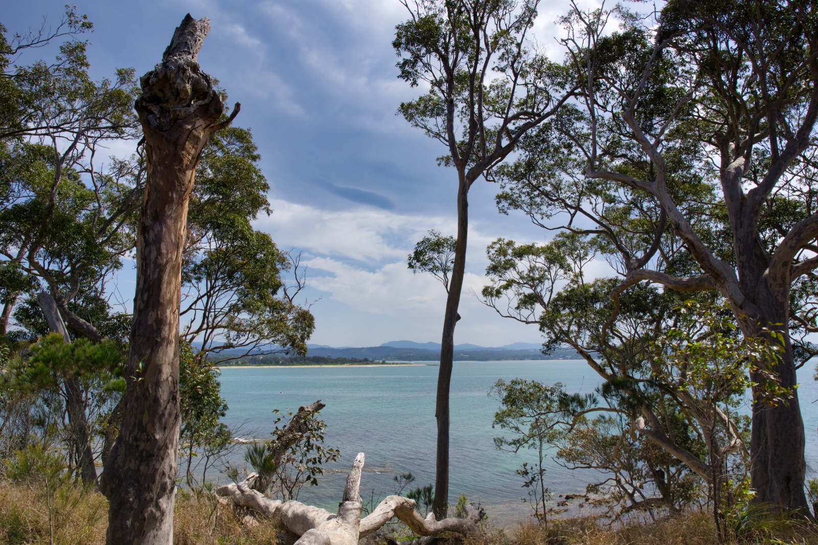 Batemans Bay Day 6 Roadtrip Australia 14
